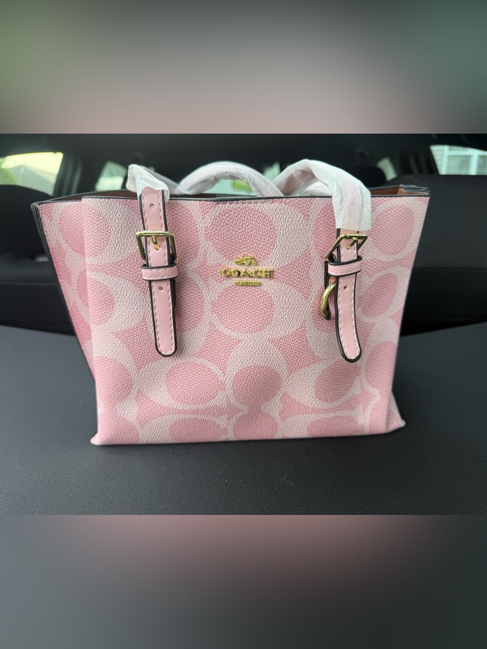 Coach Pink Signature Small Tote with Gold Hardware